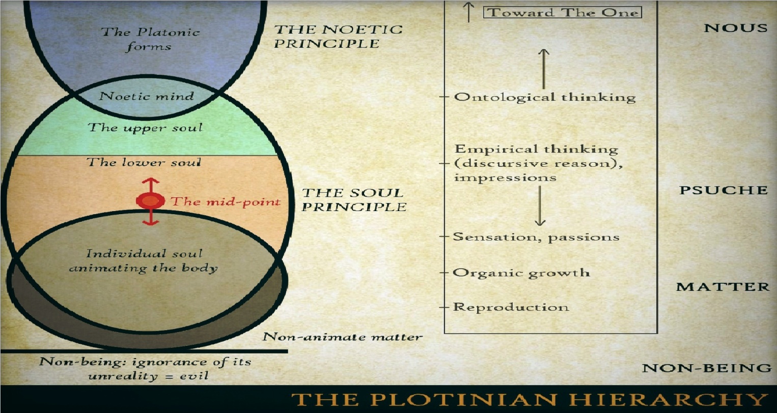 Plotinus, Ennead 1.1: The Animate and the Human Being