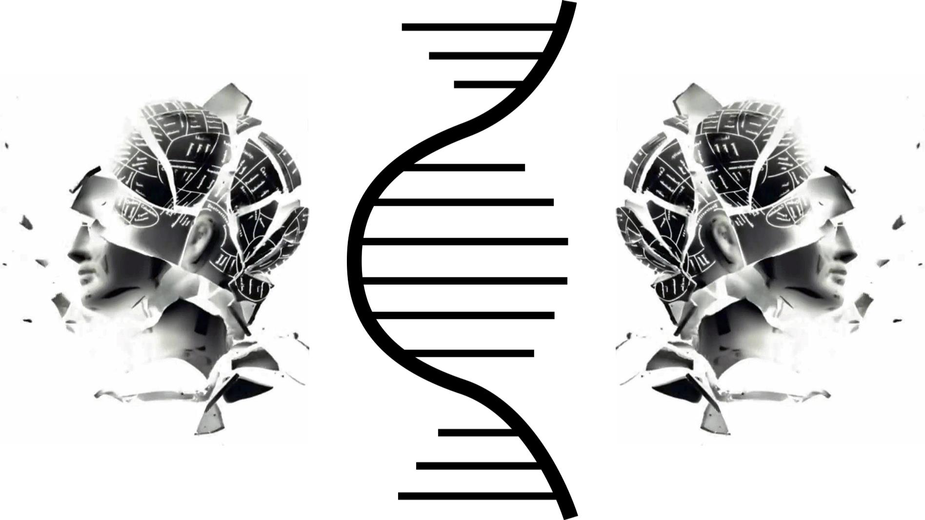 Beyond Conformity | Transcend and Transform the Conscience